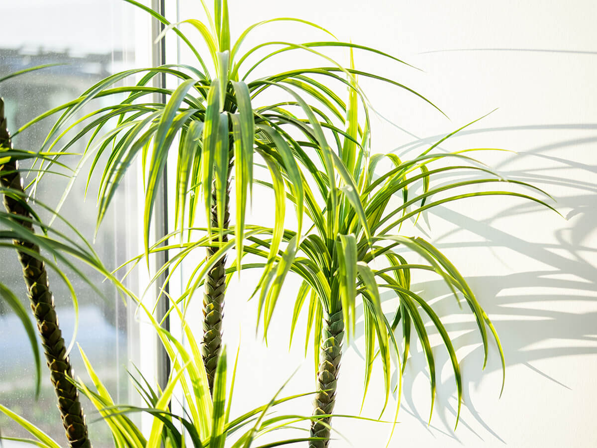 How Many Machinery Riggers Near Me Are Needed for a Move?